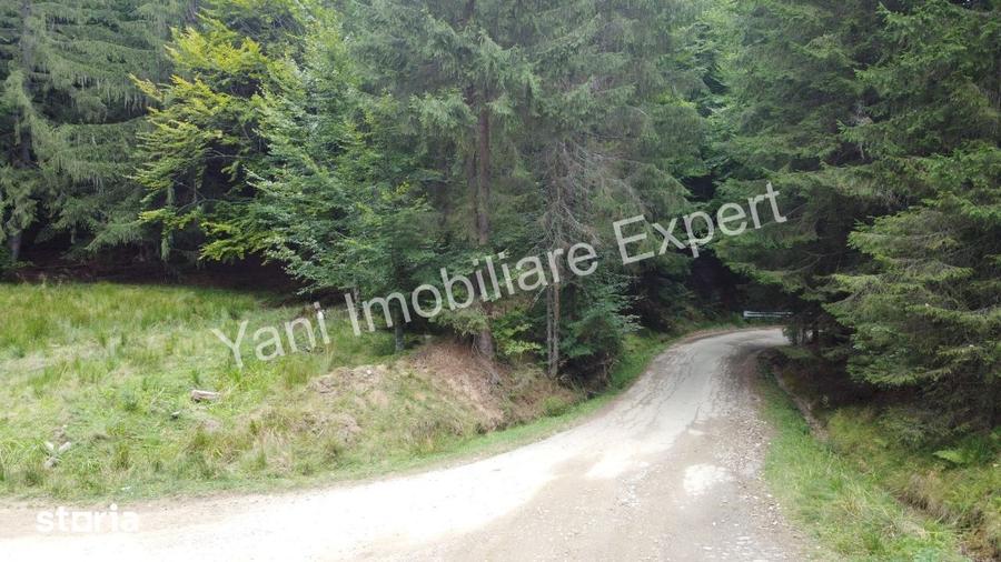Teren de vanzare pe Transfagara?an, zona Molivi?u ( 69.450 mp ) - 11