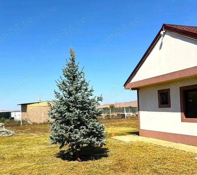 Casă cu 4 camere cu Teren 2000 Mp în Mihail Kogălniceanu