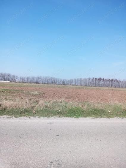 Teren de 500 mp, în Coșoveni