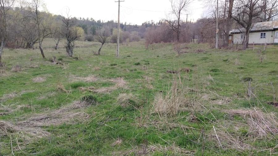 Teren de 4200 mp, în Bisoca