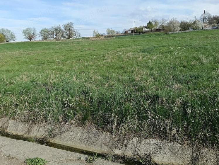 Teren de 2000 mp, în Stânca