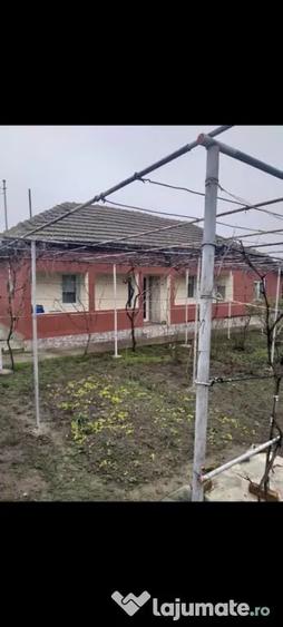 Casă cu 3 camere în Central