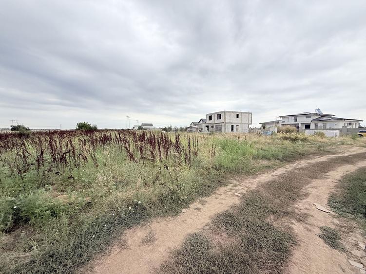Teren Construcții intravilan de 5000 mp, în Berceni
