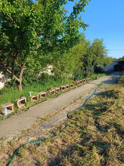 Casă cu 4 camere cu Teren 1000 Mp în Bran