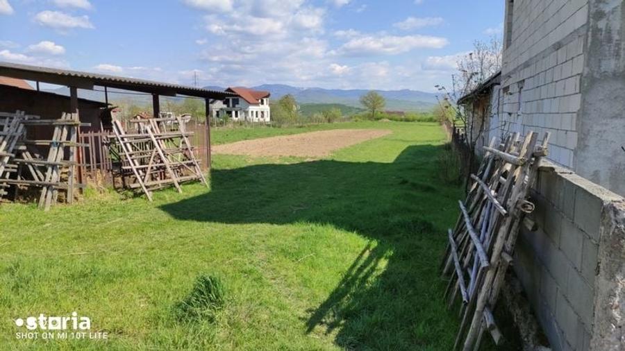 Teren de 3000 mp, în Livezile