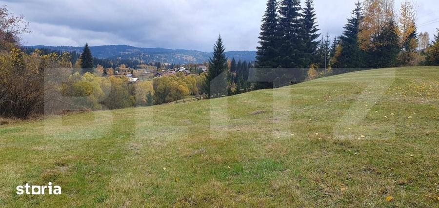 Teren de 4000 mp, în Șaru Dornei