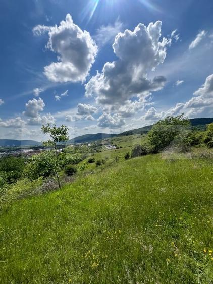 Teren agricol extravilan de 3000 mp, în Viișoara