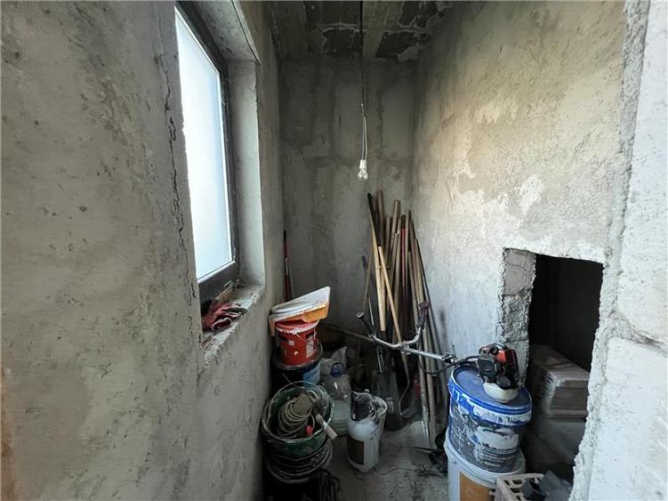 Casa la rosu, de vanzare in Lunca Cetatuii - 4