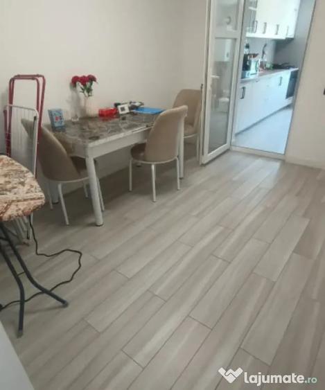 Casă cu 4 camere cu Teren 438 Mp în Romanești
