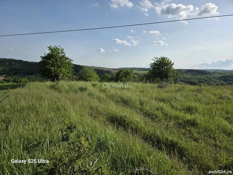 Teren extravilan de vanzare- priveliste panoramica, vie si pomi fructiferi