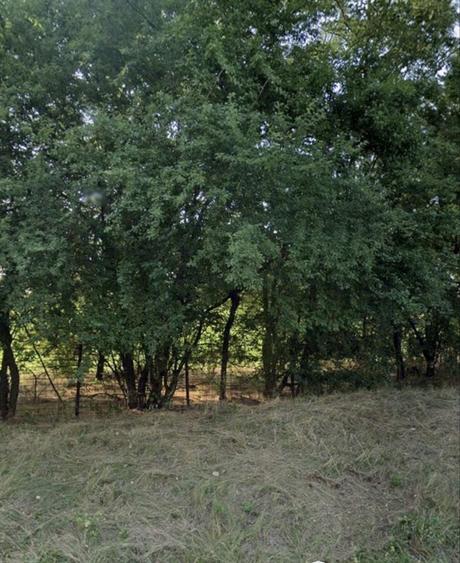Spațiu comercial, în Snagov