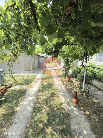 Casă cu 2 camere decomandat cu Teren 988 Mp în Vadu