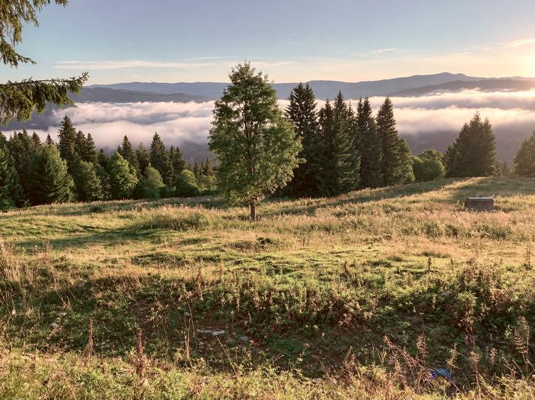 Teren intravilan de 4000 mp, în Ceahlău