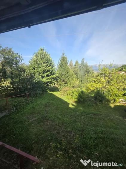 Casa de vacan?a in Fundata, Bra?ov 3.300 mp teren, acces direct din DN73 - 10