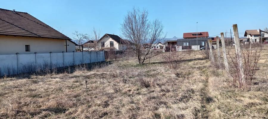 Teren Construcții de 438 mp, în Periferie