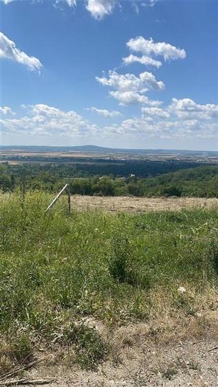 Teren Construcții intravilan de 1675 mp, în Podgoria