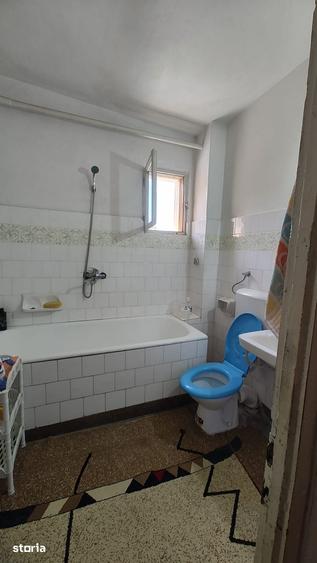De vanzare casa in satul Carpinis - 9