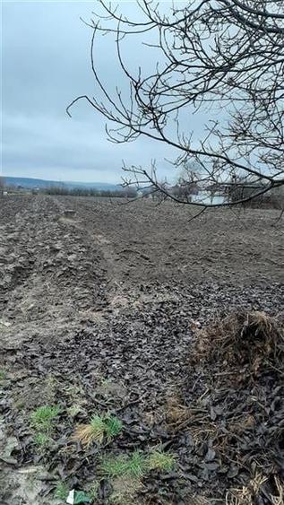 Teren Construcții intravilan de 11200 mp, în Nazna