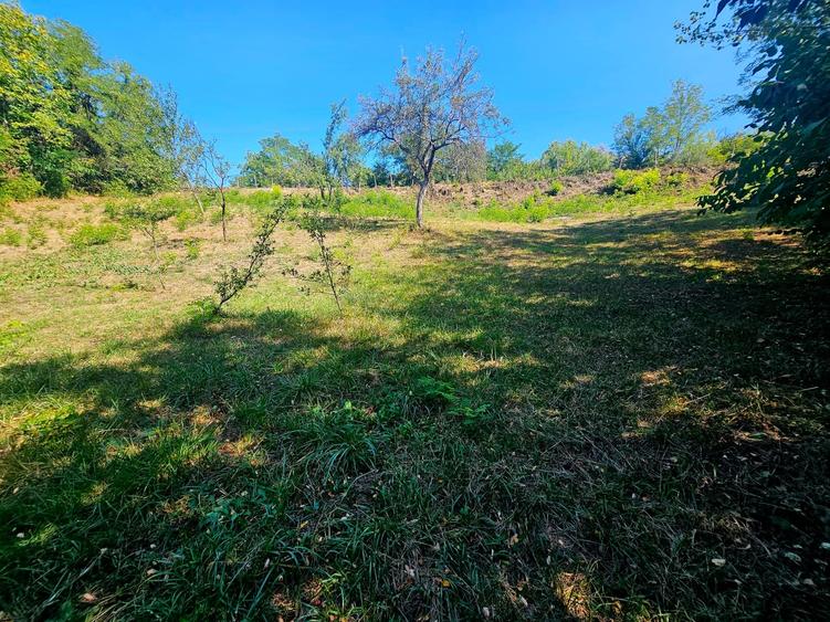 Teren Construcții intravilan de 2322 mp, în Păcuri