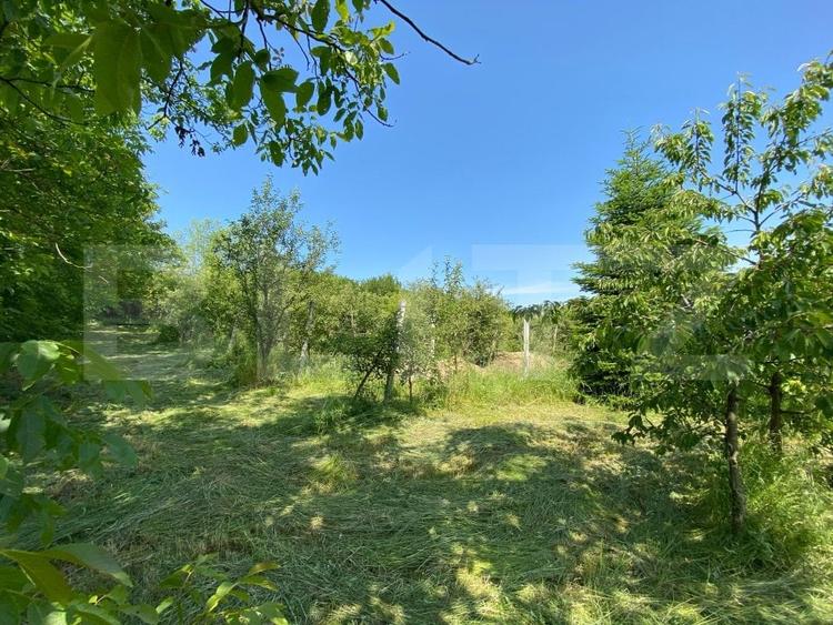 Teren Construcții intravilan de 3000 mp, în Sud-Vest