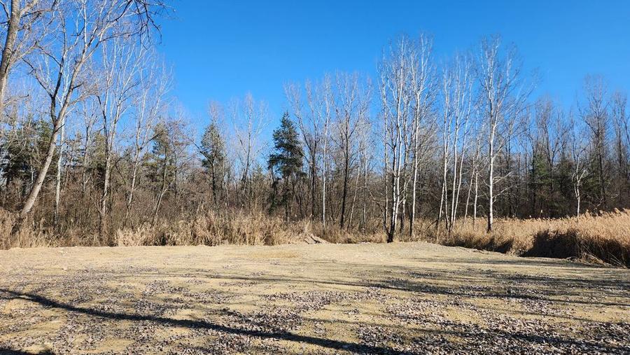 Teren 1667 MP | Zona Strand | Bulevard Dem Radulescu - 4