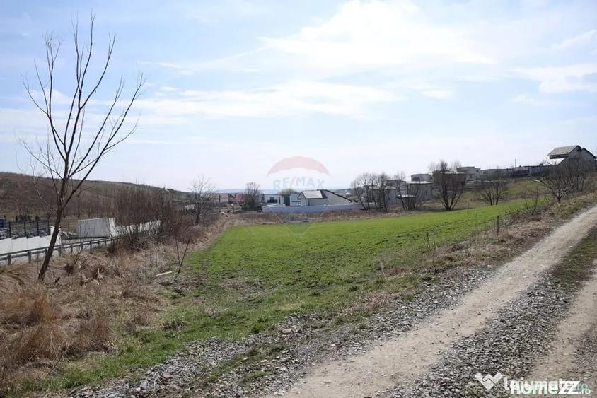 Teren în Moara