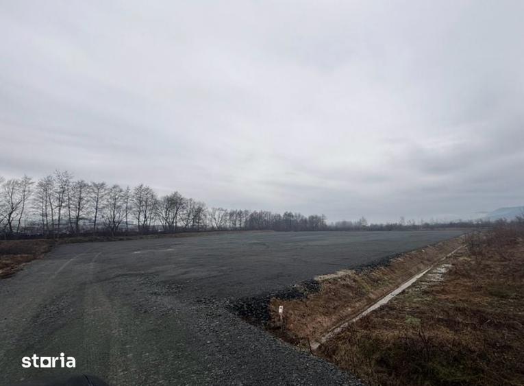 Teren 10.000 mp Tautii Magheraus - 5