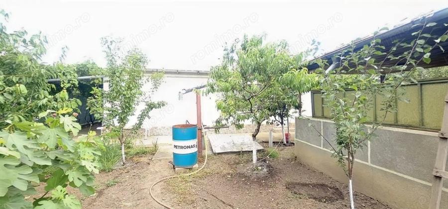 Casă cu Teren 1055 Mp în Vânători