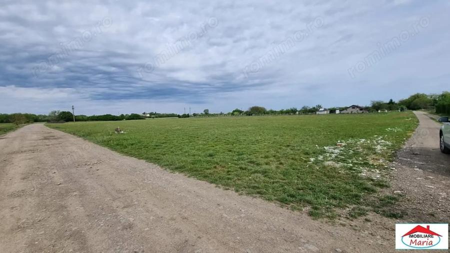 Teren de 5000 mp, în Careiului