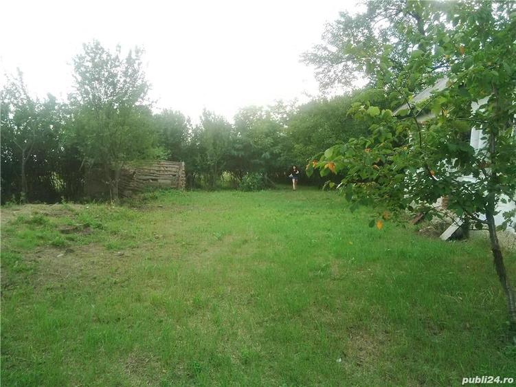Teren de 7050 mp, în Albota