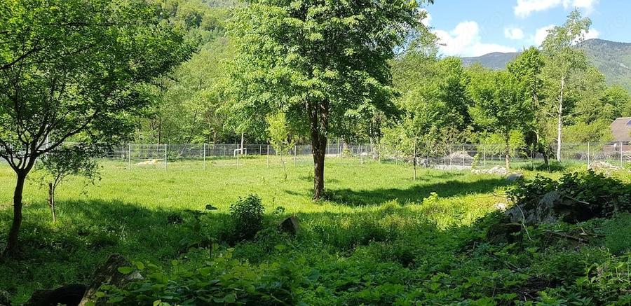 Teren de 678 mp, în Râu de Mori