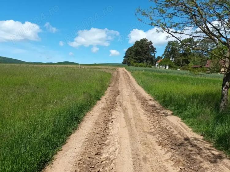 Teren de 2200 mp, în Valea Crișului