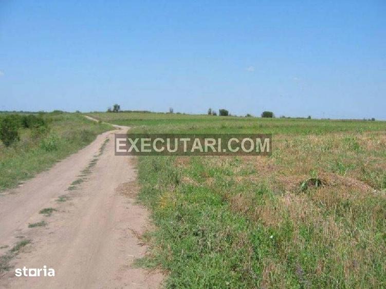 Teren de 60000 mp, în Central