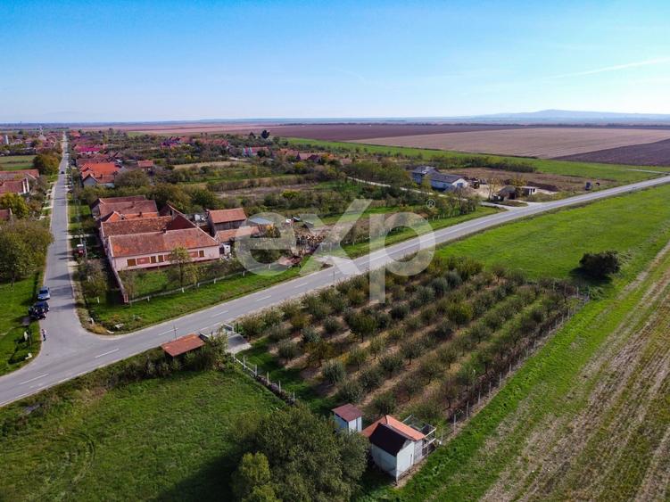 Teren Construcții intravilan de 1191 mp, în Sârbova