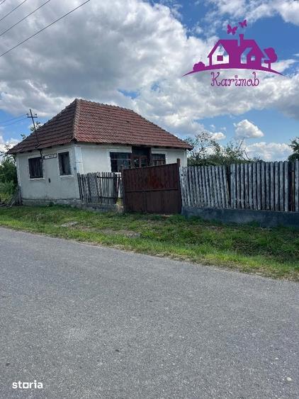 Casă cu 2 camere cu Teren 3208 Mp în Girișu de Criș