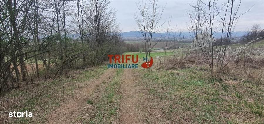 Spațiu comercial, în Ciugud