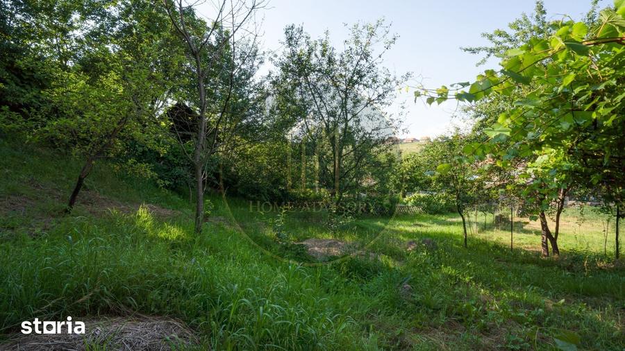 Casa individuala cu teren generos 1.400 mp | Sfantu Gheorghe - 5