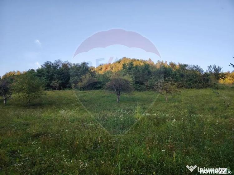 Teren în Bârsana