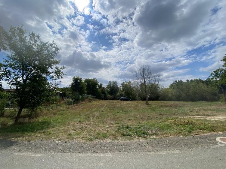 Teren de 1450 mp, în Satu Nou de Jos