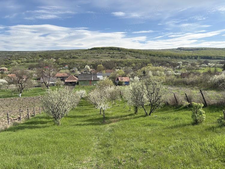 Casă cu 3 camere în Feiurdeni