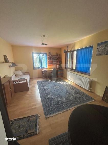 Casă cu 6 camere cu Teren 3982 Mp în Remetea Mare