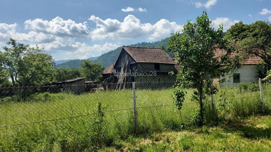 Vand Casa, Teren Intravilan si Extravilan Agas, Bacau