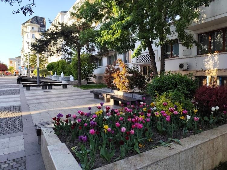 Apartament cu 2 camere semidecomandat în Ultracentral