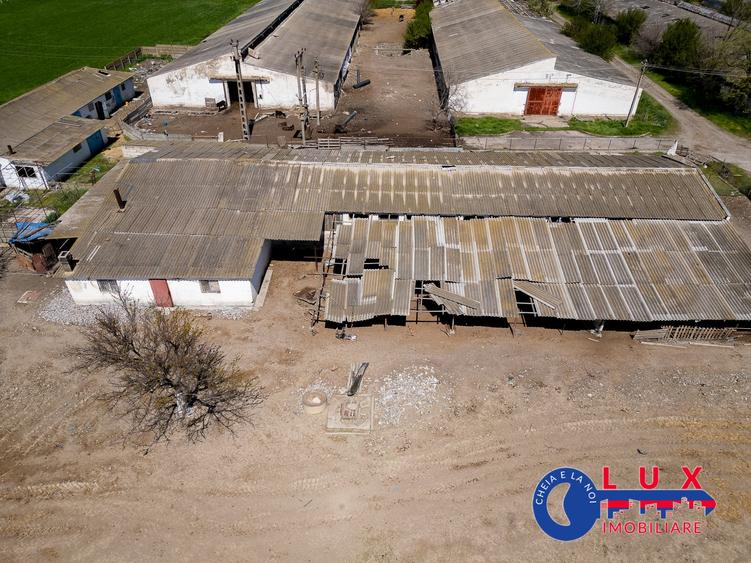 Teren agricol intravilan de 11532 mp, în Mihail Kogălniceanu