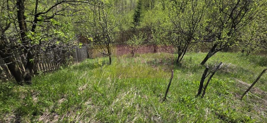 Teren Construcții intravilan de 1494 mp, în Șotrile