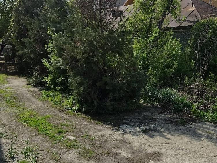 Teren Construcții intravilan de 709 mp, în Ștefăneștii de Jos