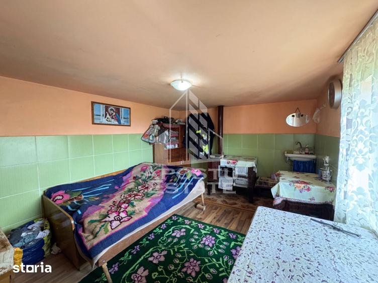 Casă cu 4 camere cu Teren 3534 Mp în Blăjeni