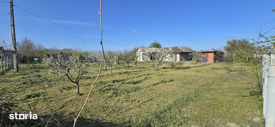 Casă cu 4 camere cu Teren 1917 Mp în Corbu