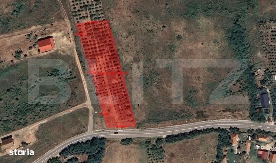Teren intravilan - 4200 mp, parcelabil, construibil, cu livada, Rascru - 1