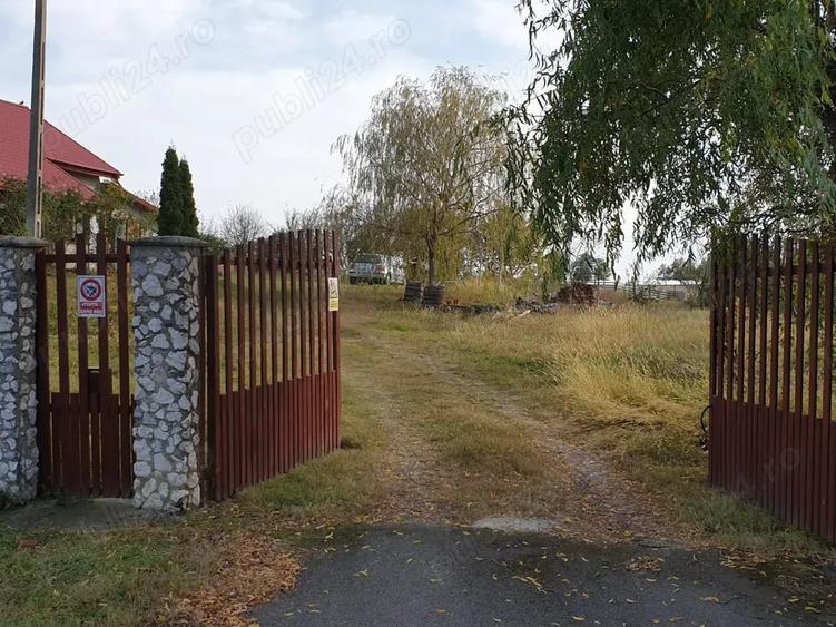 Casă cu 6 camere cu Teren 5000 Mp în Sinersig
